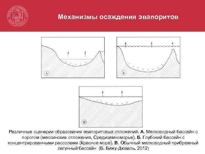 Механизмы осаждения эвапоритов Различные сценарии образования эвапоритовых отложений. А. Мелководный бассейн с порогом (мессинские
