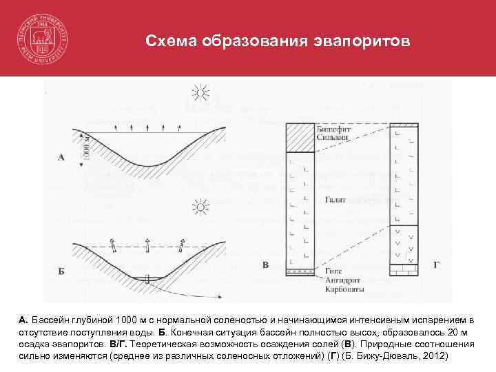 Схема образования эвапоритов А. Бассейн глубиной 1000 м с нормальной соленостью и начинающимся интенсивным