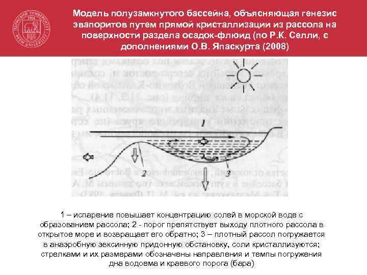 Модель полузамкнутого бассейна, объясняющая генезис эвапоритов путем прямой кристаллизации из рассола на поверхности раздела