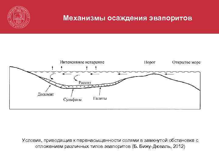 Механизмы осаждения эвапоритов Условия, приводящие к перенасыщенности солями в замкнутой обстановке с отложением различных