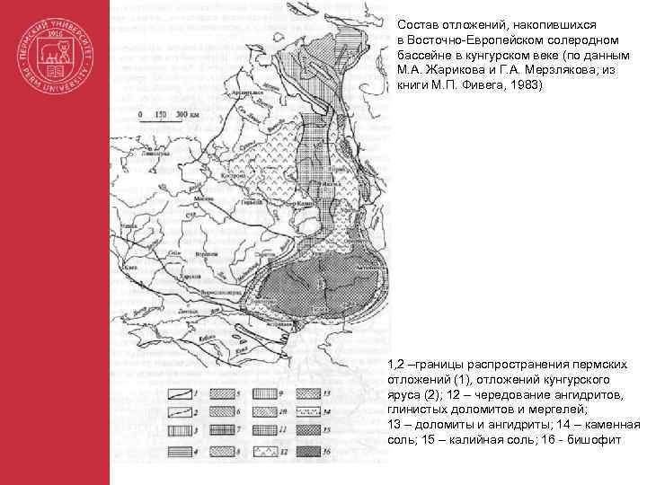 Состав отложений, накопившихся в Восточно-Европейском солеродном бассейне в кунгурском веке (по данным М. А.