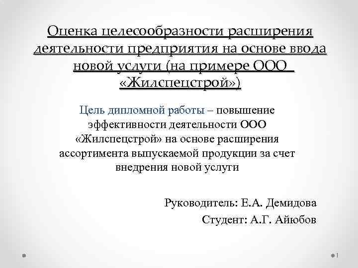 Оценка целесообразности проекта