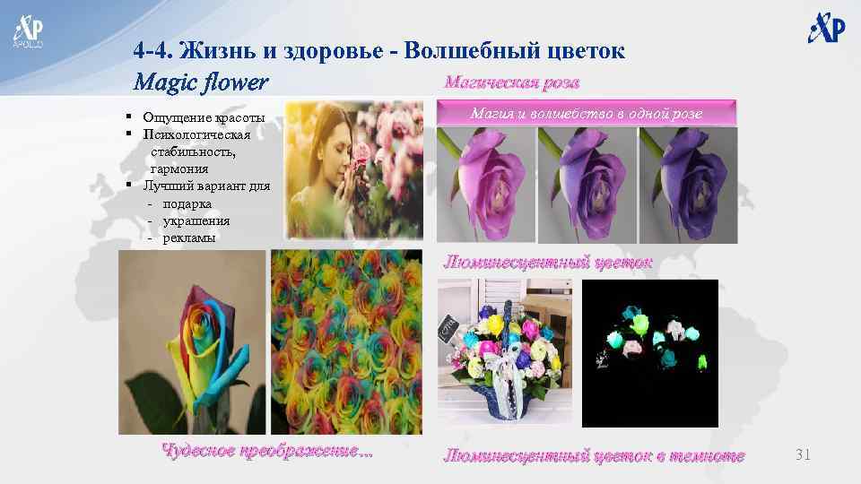 4 -4. Жизнь и здоровье - Волшебный цветок Магическая роза Magic flower § Ощущение