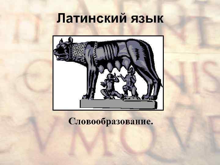 Латинский язык Словообразование. 
