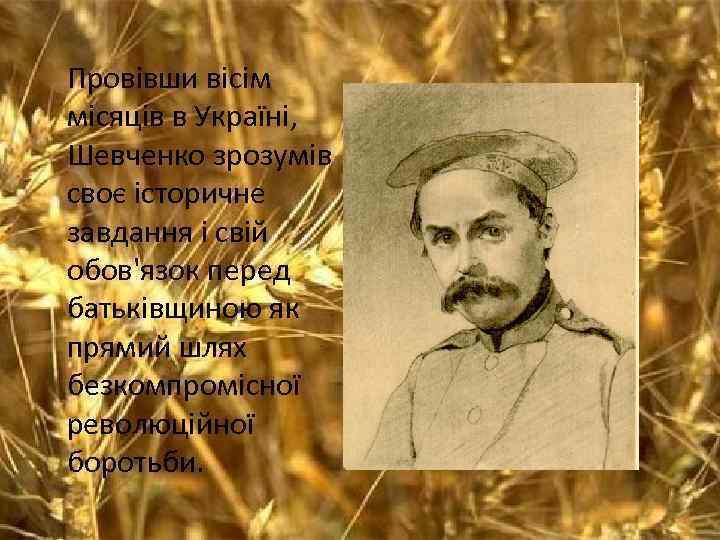 Провівши вісім місяців в Україні, Шевченко зрозумів своє історичне завдання і свій обов'язок перед
