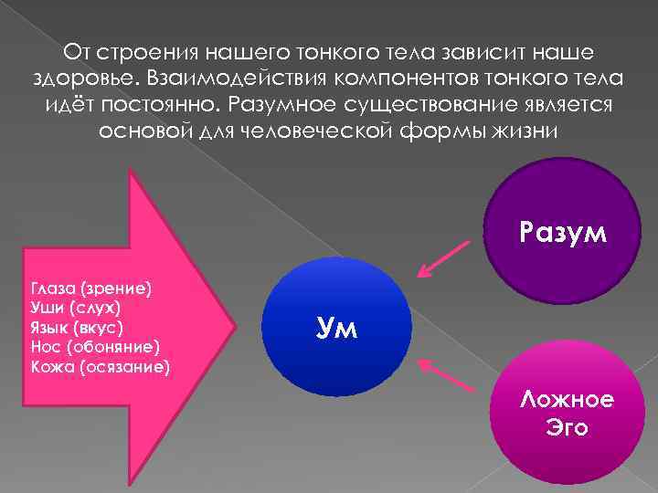 От строения нашего тонкого тела зависит наше здоровье. Взаимодействия компонентов тонкого тела идёт постоянно.