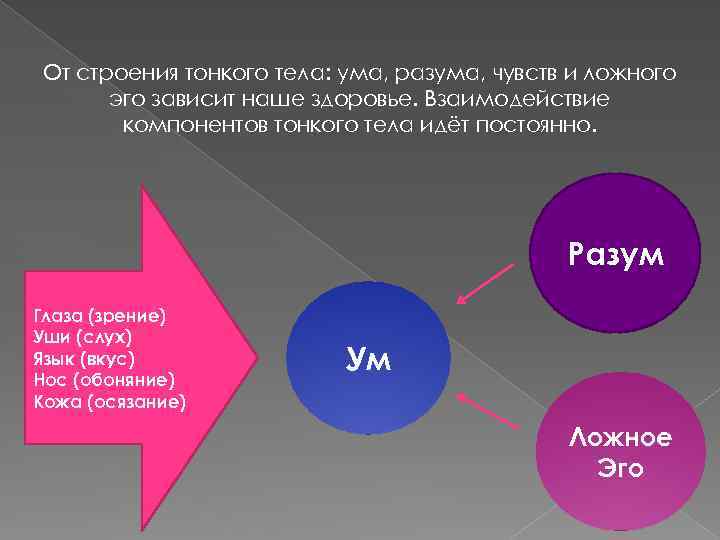 От строения тонкого тела: ума, разума, чувств и ложного эго зависит наше здоровье. Взаимодействие