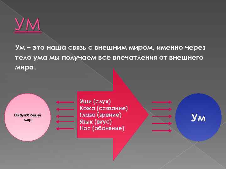 УM Ум – это наша связь с внешним миром, именно через тело ума мы