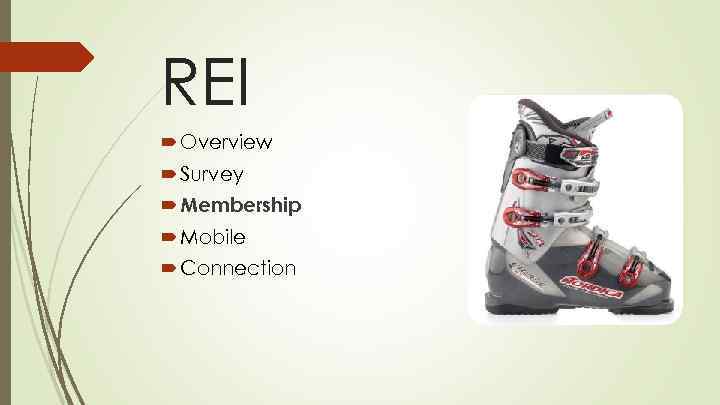 REI Overview Survey Membership Mobile Connection 