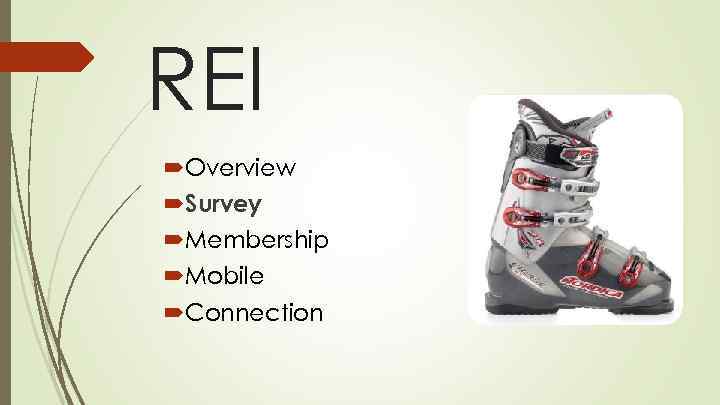 REI Overview Survey Membership Mobile Connection 
