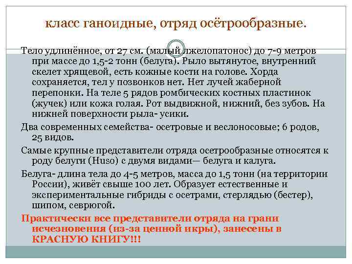 класс ганоидные, отряд осётрообразные. Тело удлинённое, от 27 см. (малый лжелопатонос) до 7 -9