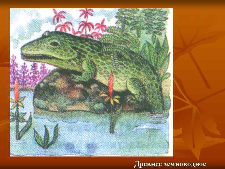 Древнее земноводное 