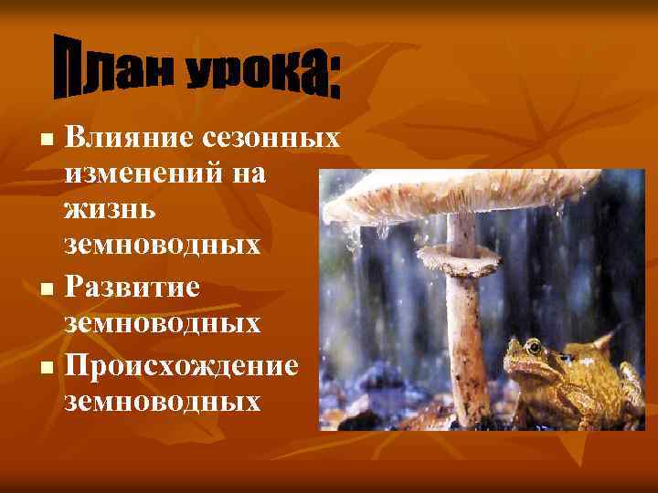 Влияние сезонных изменений на жизнь земноводных n Развитие земноводных n Происхождение земноводных n 