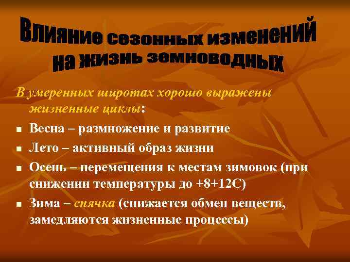 В умеренных широтах хорошо выражены жизненные циклы: n Весна – размножение и развитие n
