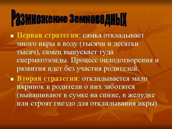 n n Первая стратегия: самка откладывает много икры в воду (тысячи и десятки тысяч),