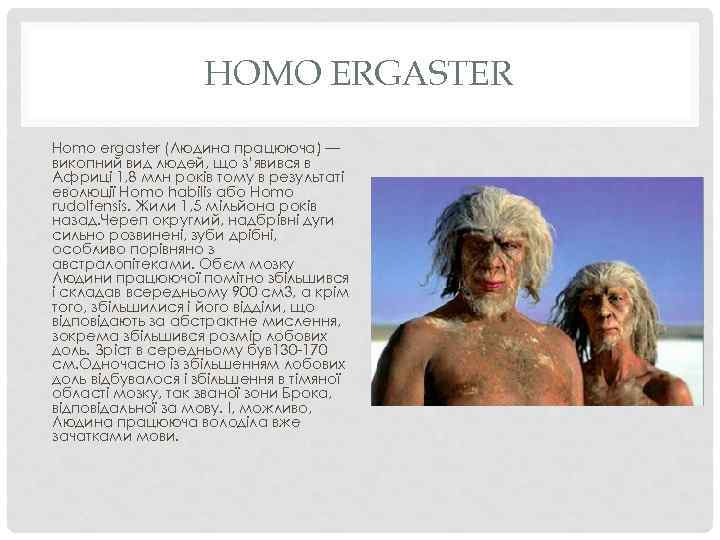 HOMO ERGASTER Homo ergaster (Людина працююча) — викопний вид людей, що з’явився в Африці