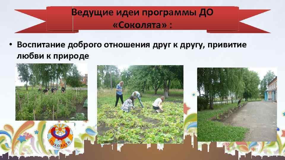 Ведущие идеи программы ДО «Соколята» : • Воспитание доброго отношения друг к другу, привитие