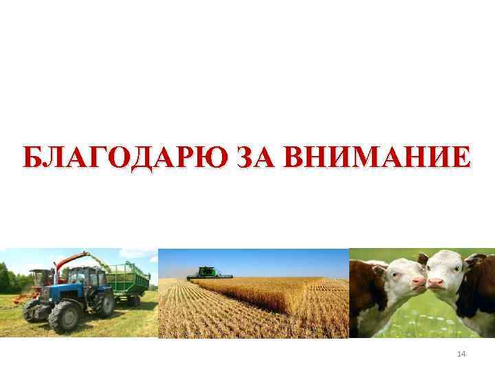 БЛАГОДАРЮ ЗА ВНИМАНИЕ 14 