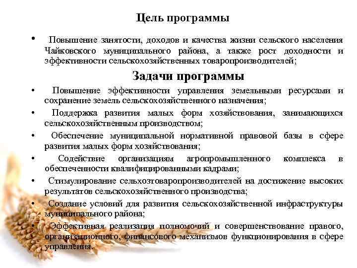 Цель программы • Повышение занятости, доходов и качества жизни сельского населения Чайковского муниципального района,