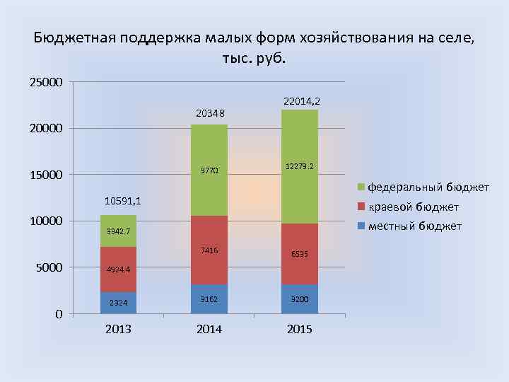 Бюджетная поддержка малых форм хозяйствования на селе, тыс. руб. 25000 20348 22014, 2 20000