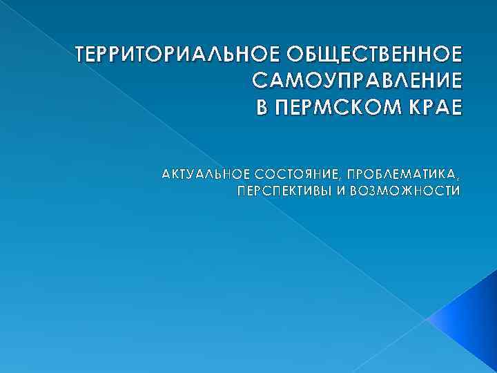 ТЕРРИТОРИАЛЬНОЕ ОБЩЕСТВЕННОЕ САМОУПРАВЛЕНИЕ В ПЕРМСКОМ КРАЕ АКТУАЛЬНОЕ СОСТОЯНИЕ, ПРОБЛЕМАТИКА, ПЕРСПЕКТИВЫ И ВОЗМОЖНОСТИ 