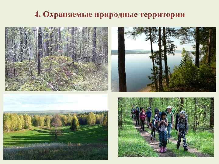 4. Охраняемые природные территории 