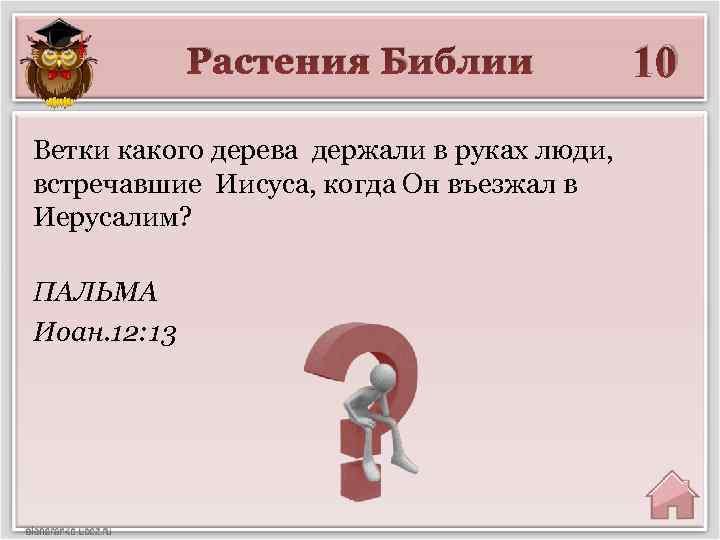 Растения Библии Ветки какого дерева держали в руках люди, встречавшие Иисуса, когда Он въезжал