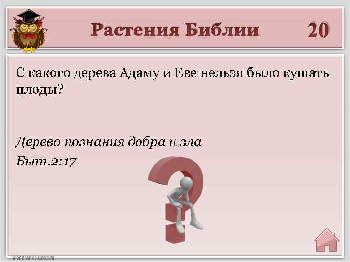 Растения Библии 20 С какого дерева Адаму и Еве нельзя было кушать плоды? Дерево