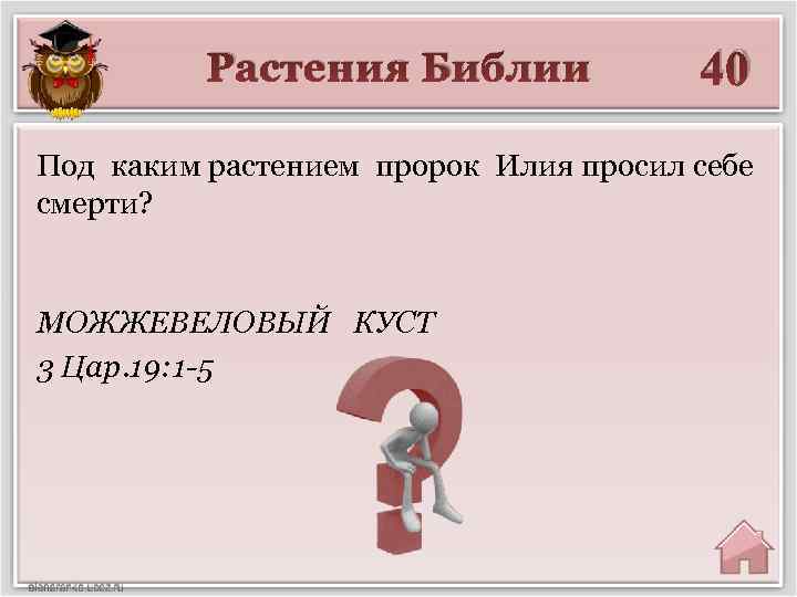 Растения Библии 40 Под каким растением пророк Илия просил себе смерти? МОЖЖЕВЕЛОВЫЙ КУСТ 3