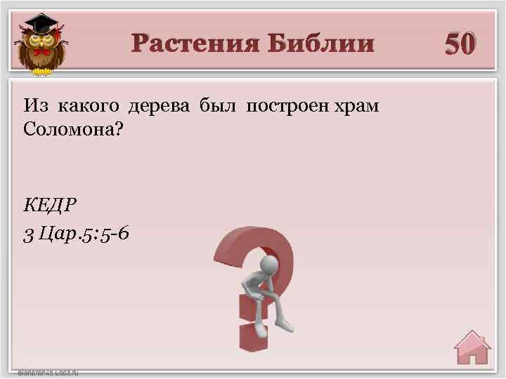 Растения Библии Из какого дерева был построен храм Соломона? КЕДР 3 Цар. 5: 5