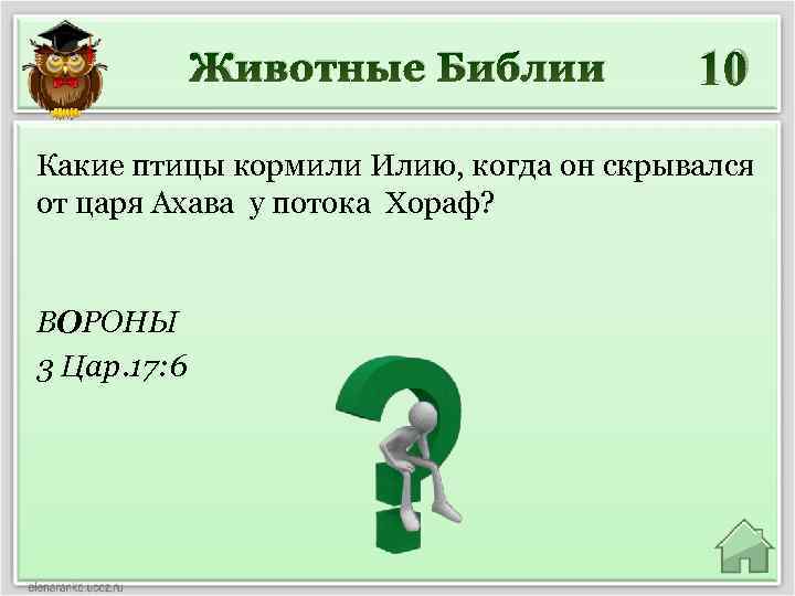 Животные Библии 10 Какие птицы кормили Илию, когда он скрывался от царя Ахава у