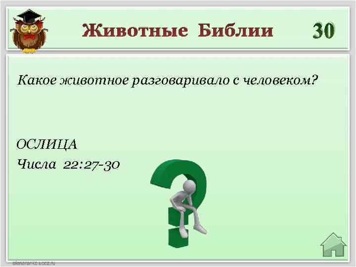 Животные Библии 30 Какое животное разговаривало с человеком? ОСЛИЦА Числа 22: 27 -30 