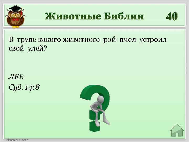 Животные Библии 40 В трупе какого животного рой пчел устроил свой улей? ЛЕВ Суд.