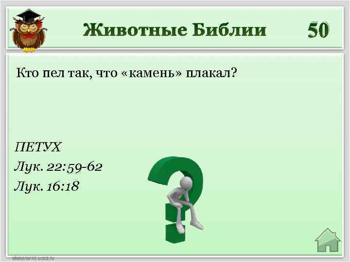 Животные Библии Кто пел так, что «камень» плакал? ПЕТУХ Лук. 22: 59 -62 Лук.