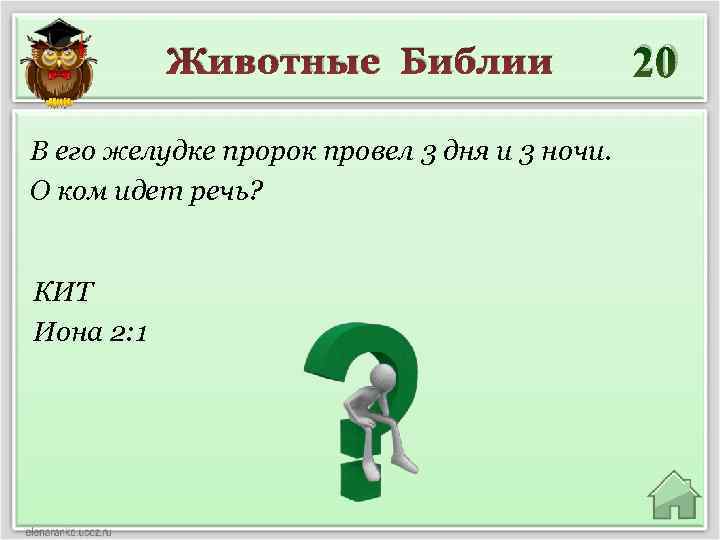 Животные Библии В его желудке пророк провел 3 дня и 3 ночи. О ком