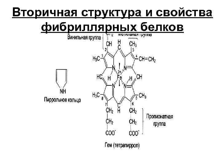 Вторичная структура и свойства фибриллярных белков 