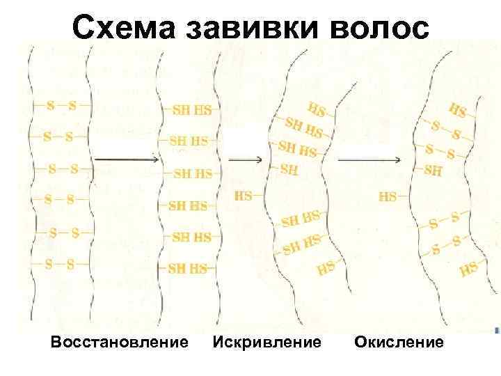 Схема завивки волос Восстановление Искривление Окисление 