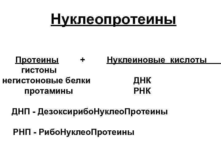 Нуклеопротеины Протеины + гистоны негистоновые белки протамины Нуклеиновые кислоты ДНК РНК ДНП - Дезоксирибо.