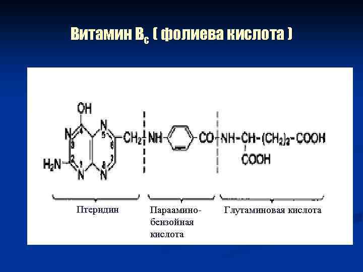 Витамин Вс ( фолиева кислота ) Птеридин Парааминобензойная кислота Глутаминовая кислота 