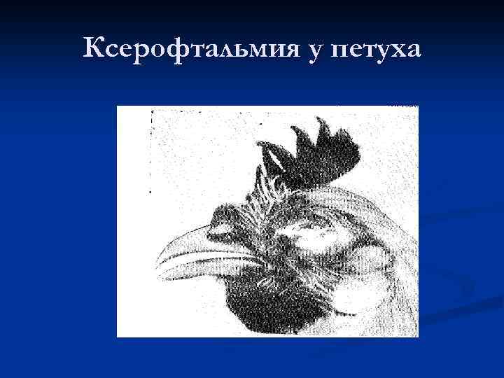 Ксерофтальмия у петуха 