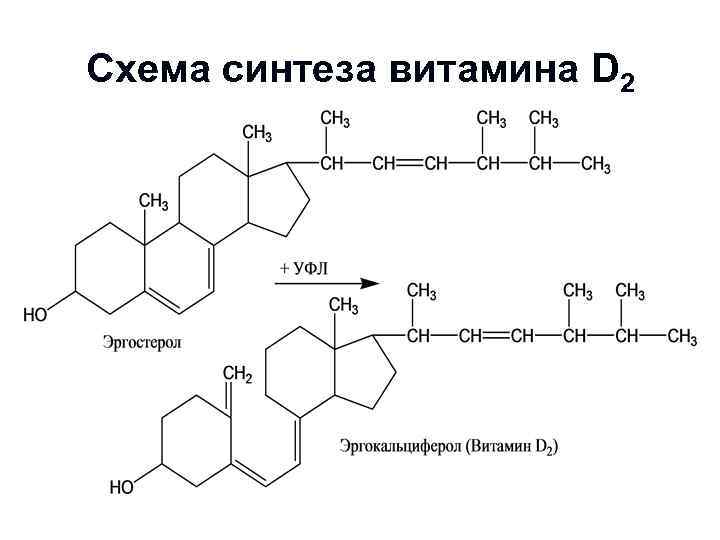 Схема синтеза витамина D 2 