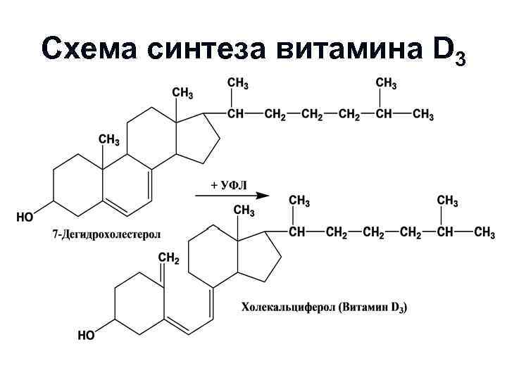 Схема синтеза витамина D 3 