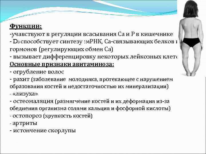 Функции: -учавствуют в регуляции всасывания Са и Р в кишечнике - D 3 способствует