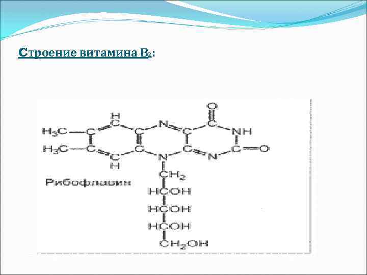 Cтроение витамина В 2: 