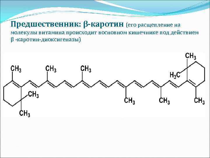 Предшественник: β-каротин (его расщепление на молекулы витамина происходит восновном кишечнике под действием β -каротин-диоксигеназы)