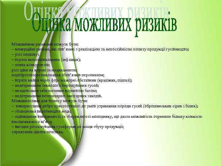 Можливими ризиками можуть бути: – комерційні ризики, які пов’язані з реалізацією та непостійністю попиту