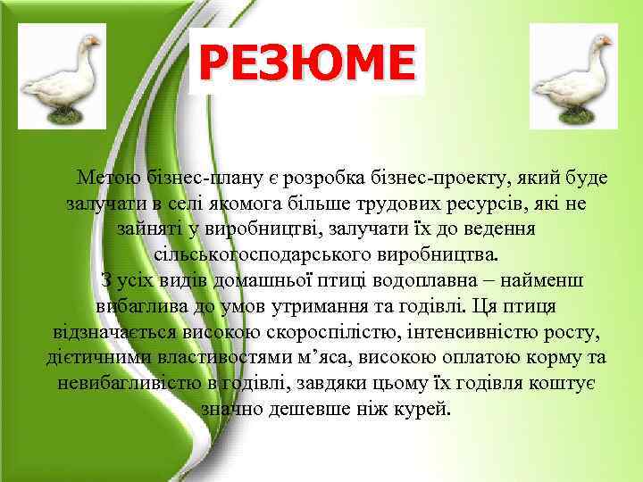 РЕЗЮМЕ Метою бізнес-плану є розробка бізнес-проекту, який буде залучати в селі якомога більше трудових