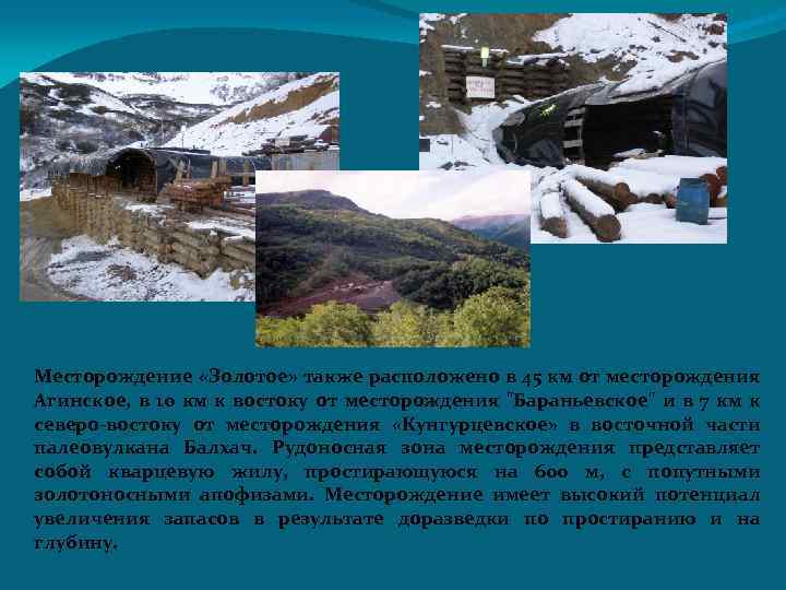 Месторождение «Золотое» также расположено в 45 км от месторождения Агинское, в 10 км к