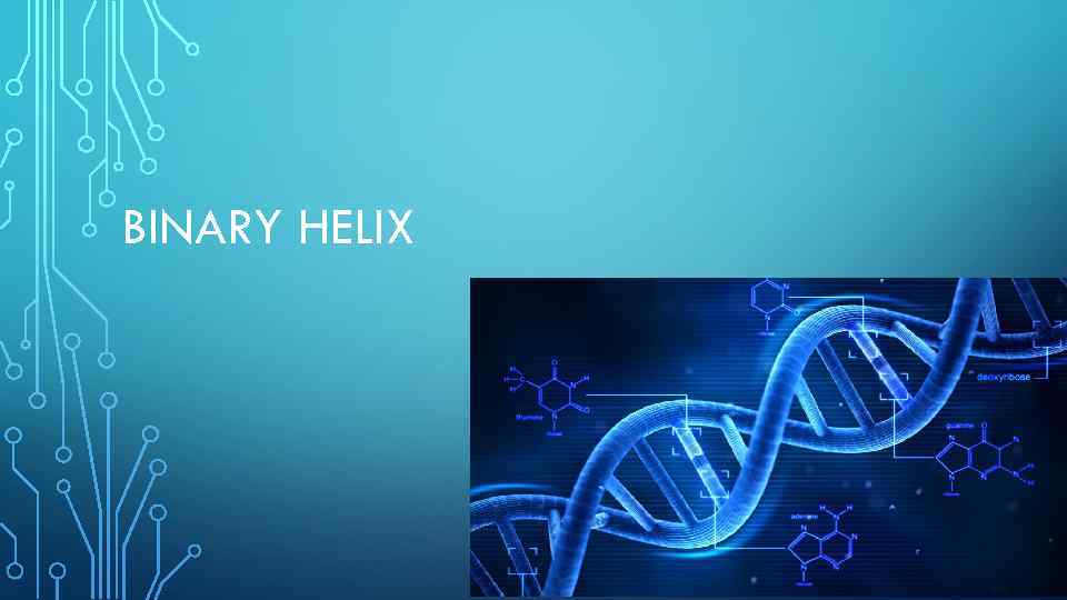 BINARY HELIX 