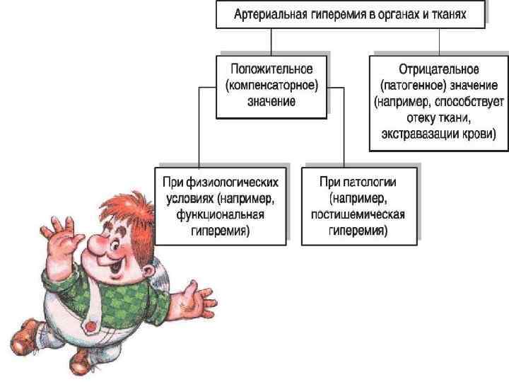 Нарисовать признаки артериальной гиперемии